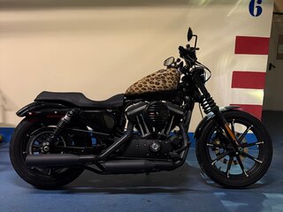 2019 Harley-Davidson Sportster 883, коричневый, 900000 рублей, вид 2