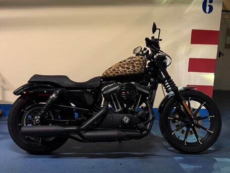 2019 Harley-Davidson Sportster 883, коричневый, 900000 рублей, вид 2