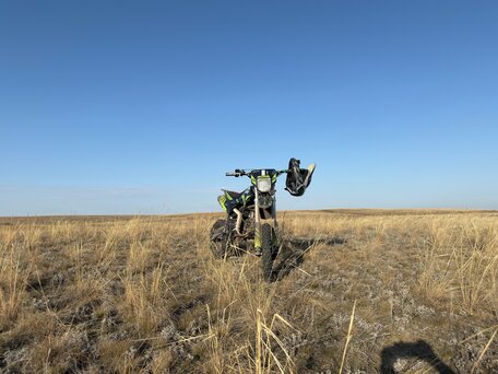 2025 BSE PH 125, зелёный, 95000 рублей, вид 3