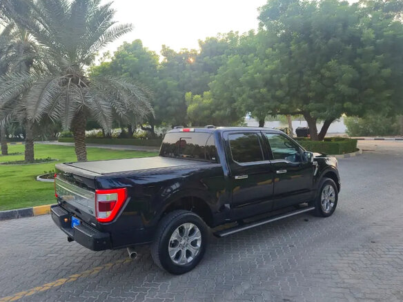 2023 Ford F-150 XIV, синий, 4500000 рублей - вид 10