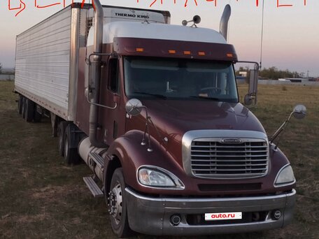 2004 Freightliner Columbia, коричневый, 3500000 рублей, вид 1