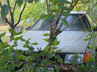 1987 Audi 100 III (C3), серый, 60000 рублей, вид 5