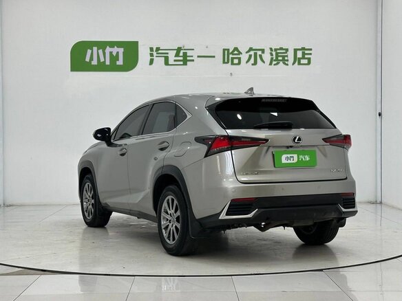 2020 Lexus NX 200 I Рестайлинг, серый, 3090000 рублей - вид 1
