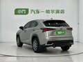2020 Lexus NX 200 I Рестайлинг, серый, 3090000 рублей - вид 1