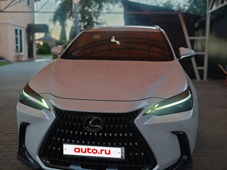 2022 Lexus NX 250 II, белый, 5450000 рублей, вид 2