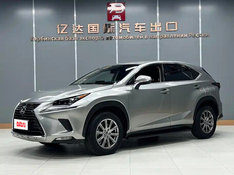 2021 Lexus NX 200 I Рестайлинг, серебристый, 2500000 рублей, вид 1