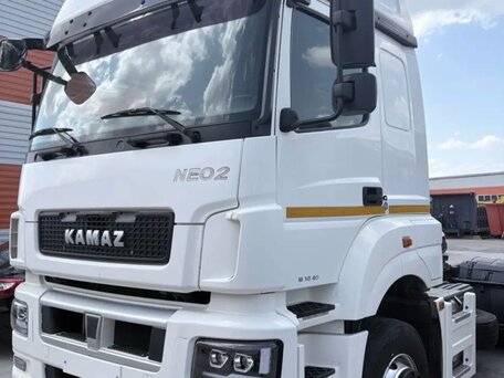 2021 КамАЗ 5490 NEO, белый, 2700000 рублей, вид 1
