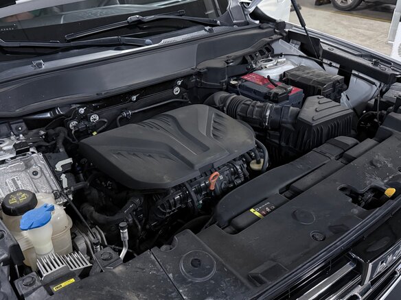 2021 Haval DaGou (Big Dog) I, белый, 2250000 рублей - вид 8