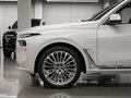 2024 BMW X7 40d I (G07) Рестайлинг, белый, 13600000 рублей - вид 10