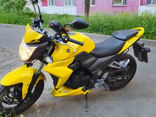 Sym Wolf T2