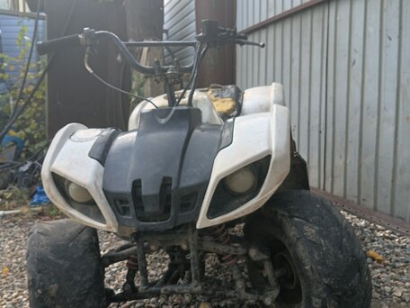 2007 Polaris Slingshot, белый, 30000 рублей, вид 1