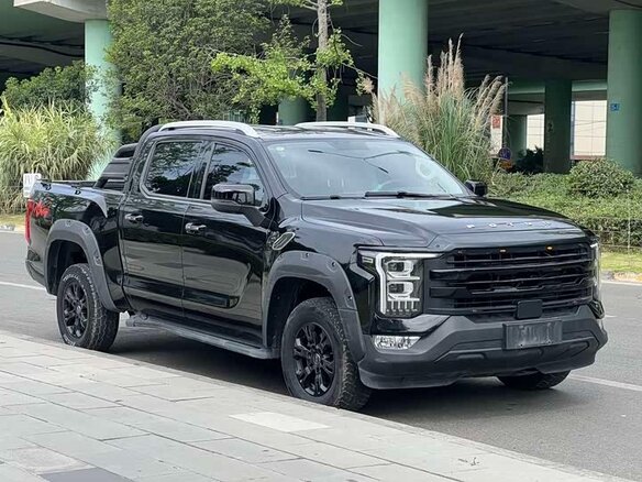 2024 Foton Mars 7, чёрный, 3010000 рублей