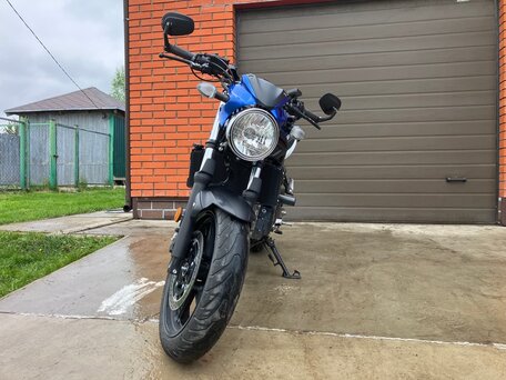2017 Suzuki SV 650, синий, 550000 рублей, вид 4