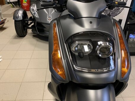 2006 Suzuki Gemma, серый, 400000 рублей, вид 4