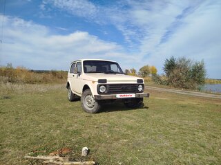 1995 Lada (ВАЗ) 2121 (4x4) I Рестайлинг, бежевый, 315000 рублей, вид 1