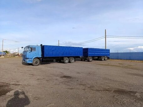 2009 КамАЗ 65117, синий, 2500000 рублей, вид 4