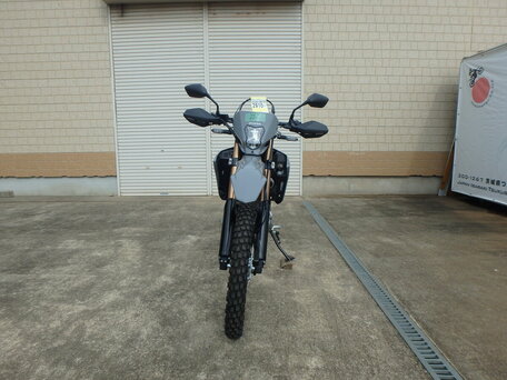 2024 Honda CRF 250L, серый, 725000 рублей, вид 4