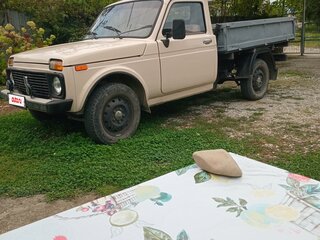 2009 Lada (ВАЗ) 2121 (4x4) I Рестайлинг, серый, 450000 рублей, вид 4