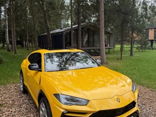 2021 Lamborghini Urus I, жёлтый, 25500000 рублей, вид 1