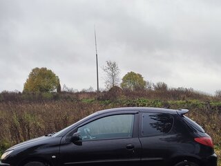 2004 Peugeot 206, чёрный, 600000 рублей, вид 3
