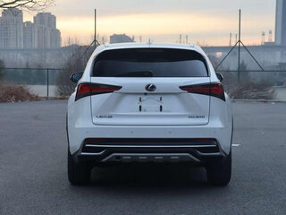 2021 Lexus NX 200 I Рестайлинг, белый, 2792000 рублей, вид 5