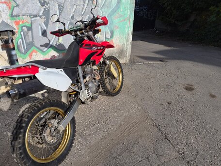 2004 Honda XR 250, красный, 448000 рублей, вид 3