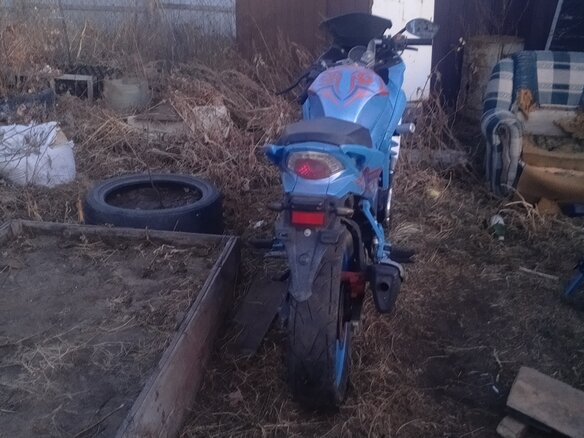 2006 Racer Skyway, синий, 130000 рублей - вид 1