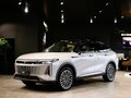 2025 Exeed RX, серый