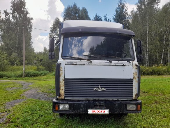 2004 МАЗ 4370, белый, 500000 рублей - вид 1
