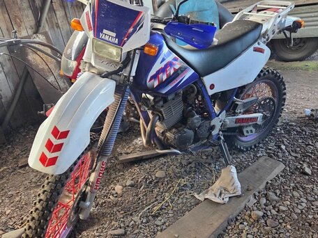 2001 Yamaha TT-R250, синий, 300000 рублей, вид 5
