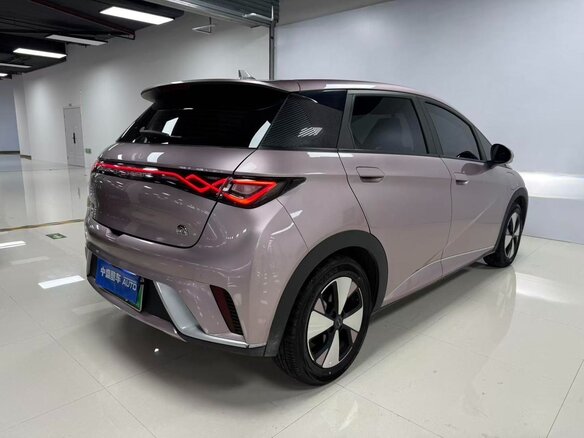 2026 BYD Dolphin, розовый - вид 6