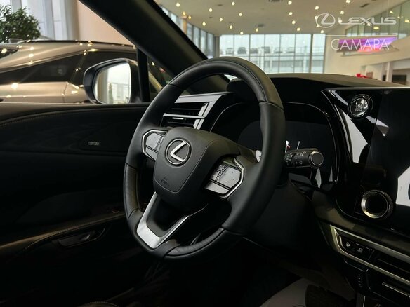 2025 Lexus RX 350 V, серый - вид 14