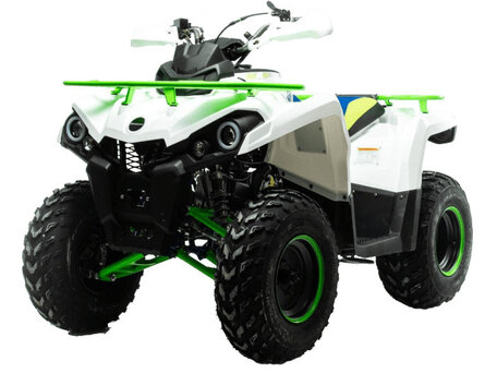 2021 Motoland ATV 200 Shark, белый, 203700 рублей, вид 1