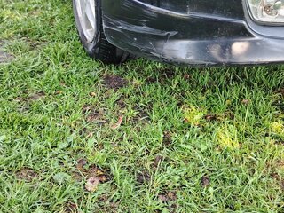 1999 Mazda Premacy I (CP), чёрный, 300000 рублей, вид 5