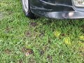 1999 Mazda Premacy I (CP), чёрный, 300000 рублей - вид 4