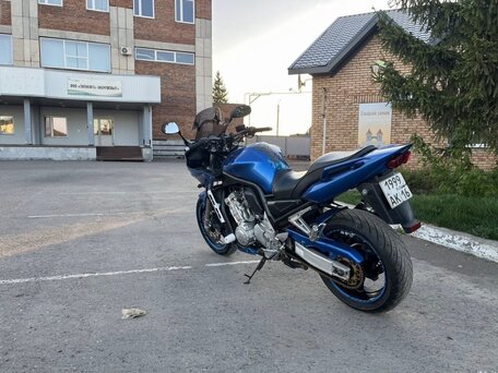 2003 Yamaha FZS1000 Fazer, синий, 485000 рублей, вид 4