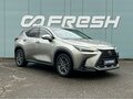 2021 Lexus NX 250 II, серый, 5999000 рублей