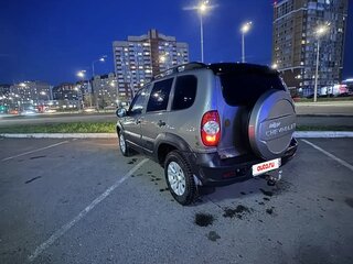 2009 Chevrolet Niva I Рестайлинг, серый, 250000 рублей, вид 5