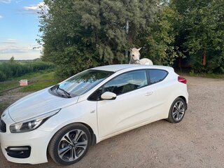 2017 Kia Ceed II Рестайлинг, белый, 1300000 рублей, вид 5