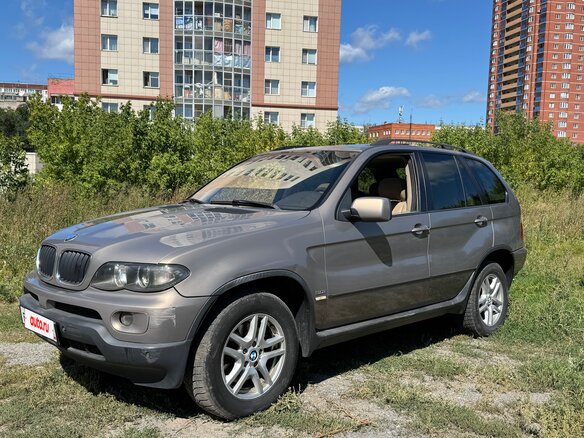 2005 BMW X5 3.0i I (E53) Рестайлинг, серый - вид 1