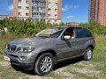 2005 BMW X5 3.0i I (E53) Рестайлинг, серый - вид 1