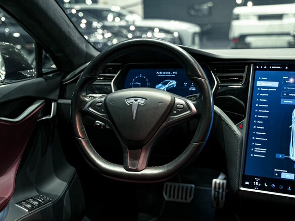 2019 Tesla Model S Performance I Рестайлинг, серый - вид 15
