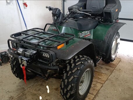 2001 Arctic Cat 500 Series, зелёный, 375000 рублей, вид 1