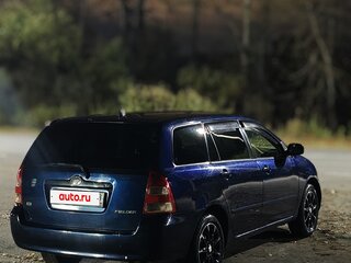 2002 Toyota Corolla Fielder IX (E120, E130), синий, 589000 рублей, вид 3