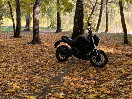 2019 Bajaj Dominar 400, чёрный, 310000 рублей, вид 3