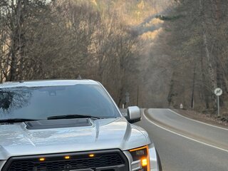 2017 Ford F-150 XIII, серый, 6800000 рублей, вид 3