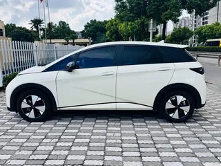 2024 BYD Dolphin 44.9 kWh I, белый, 1100001 рублей, вид 2