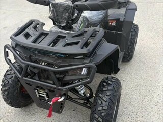 2026 Другие ATV (другие), серебристый, 175000 рублей, вид 5
