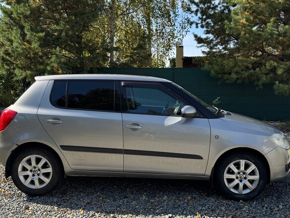 2009 Skoda Fabia II, серый, 590000 рублей - вид 5
