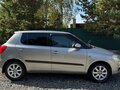 2009 Skoda Fabia II, серый, 590000 рублей - вид 5